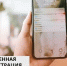 Оформить «временную регистрацию» можно, не выходя из дома! - Романовский район