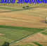 Что такое земельный пай? - Романовский район